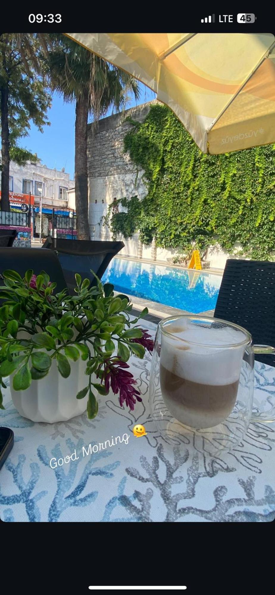 Kilavuz * Bodrum